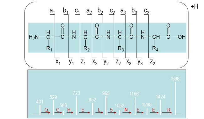 fragmentation_ladder.png